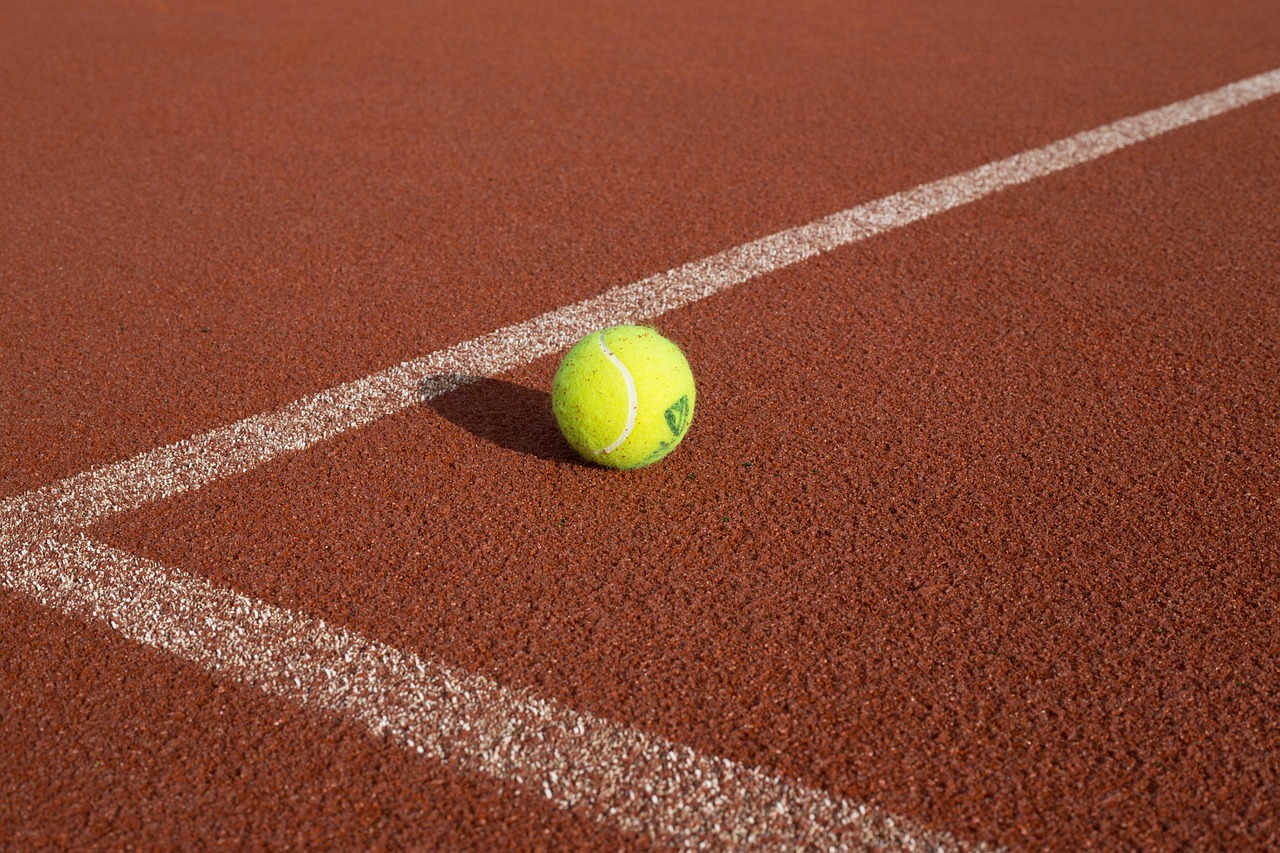 tennis, tennis ball, tennis court, sport, ball, recreation, lifestyle, ball sports, tennis, tennis, tennis ball, tennis ball, tennis court, tennis court, tennis court, tennis court, tennis court