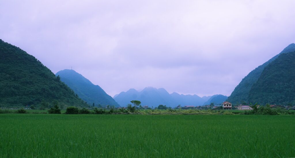 a large green field with a mountain in the background